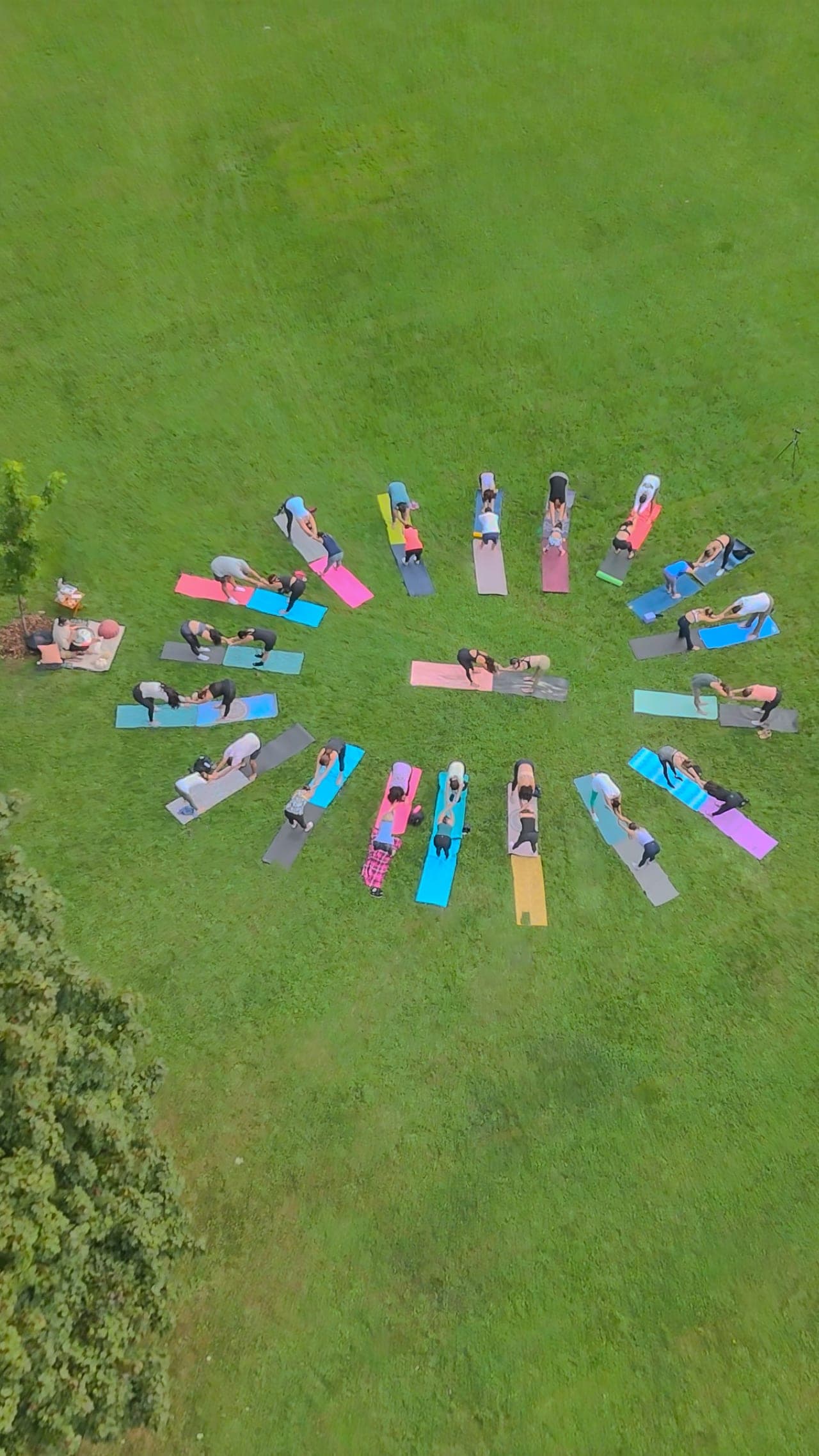 An outdoor group yoga class arranged in a circle, seen from above
