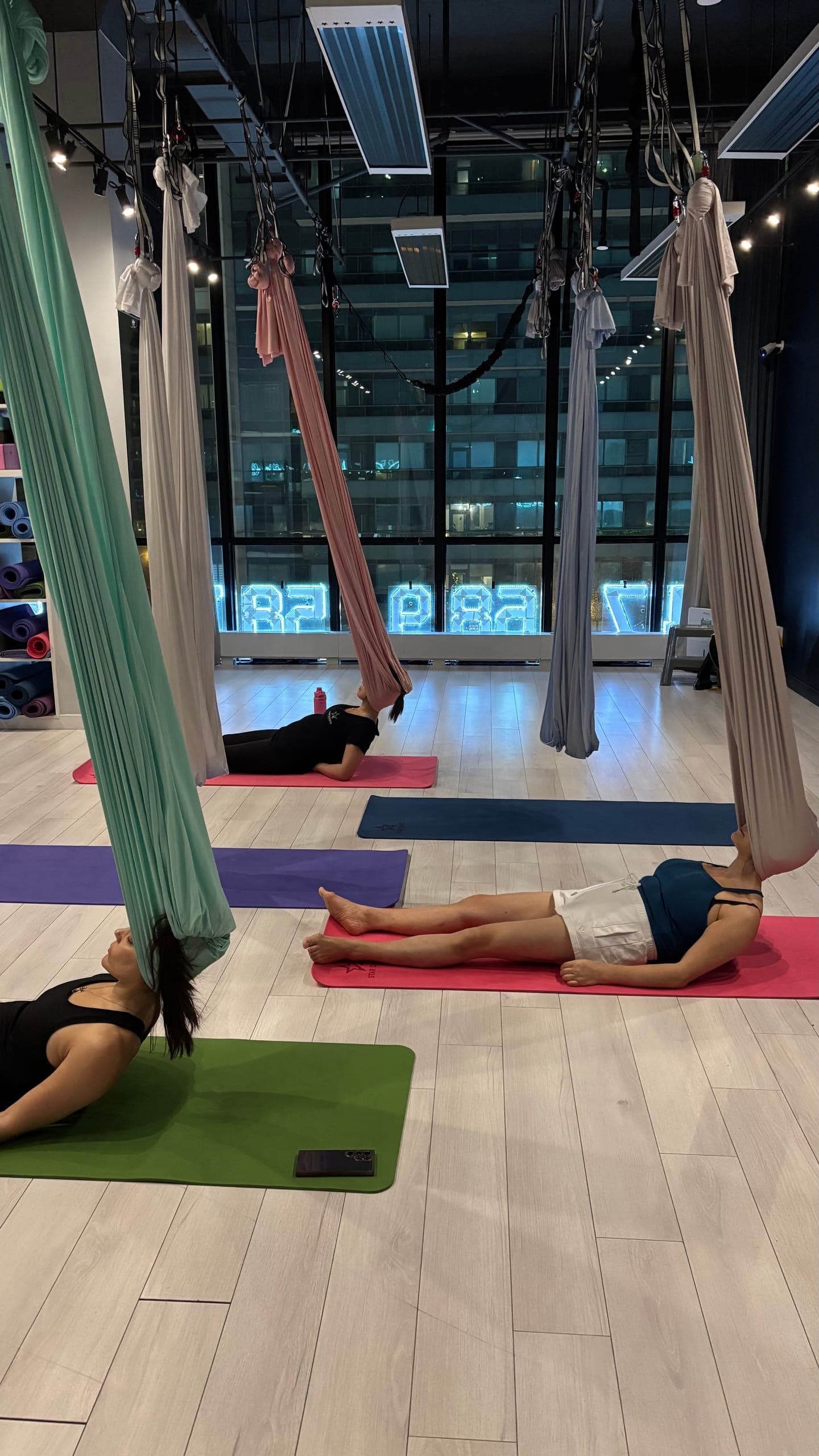 Linda leading a group aerial class