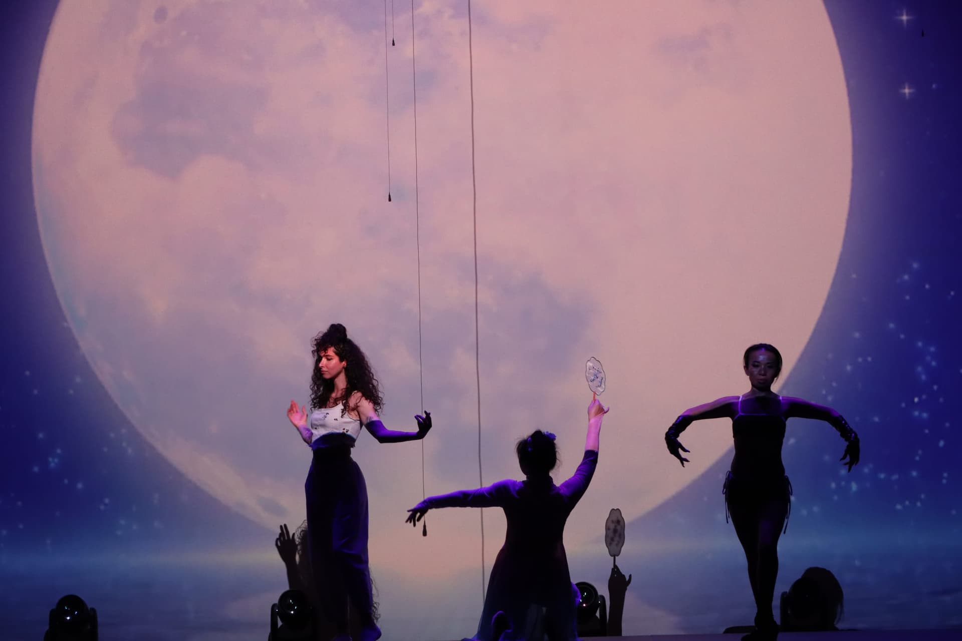 Linda performing aerial silks at a festival